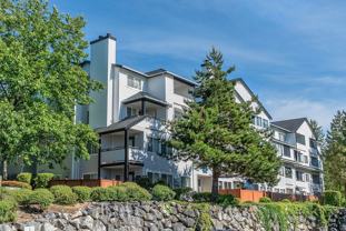 Castle Creek - Photo 1 of 1