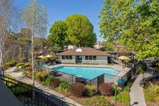 The Woods - Photo 1 of 1