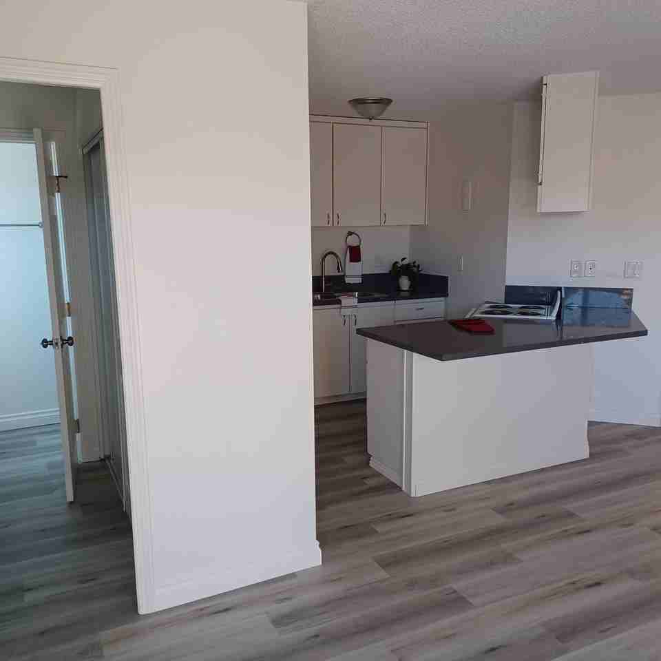 4901 Heil Ave #JR1 - Photo 6 of 28