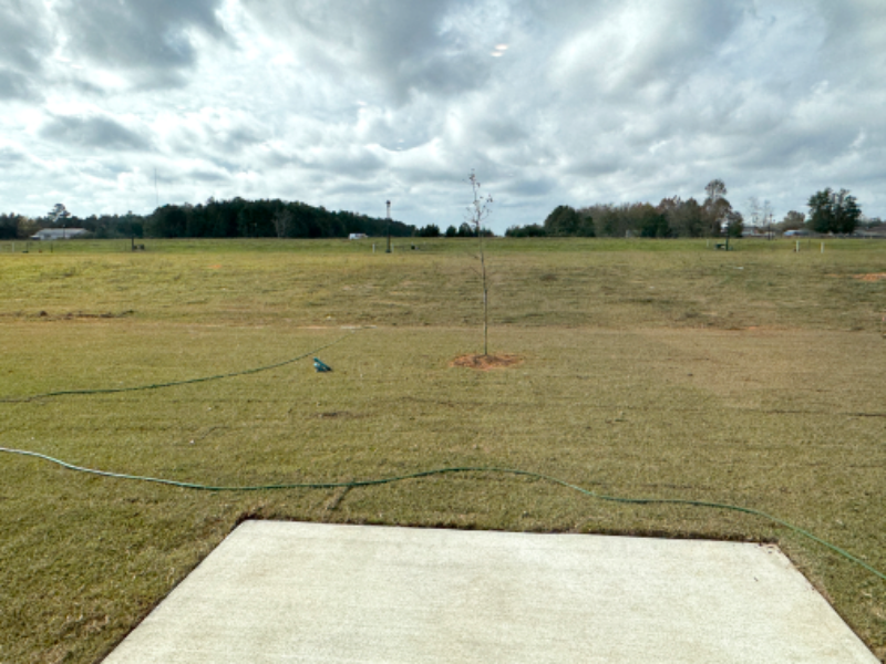 13691 Logan Pl - Photo 3 of 6