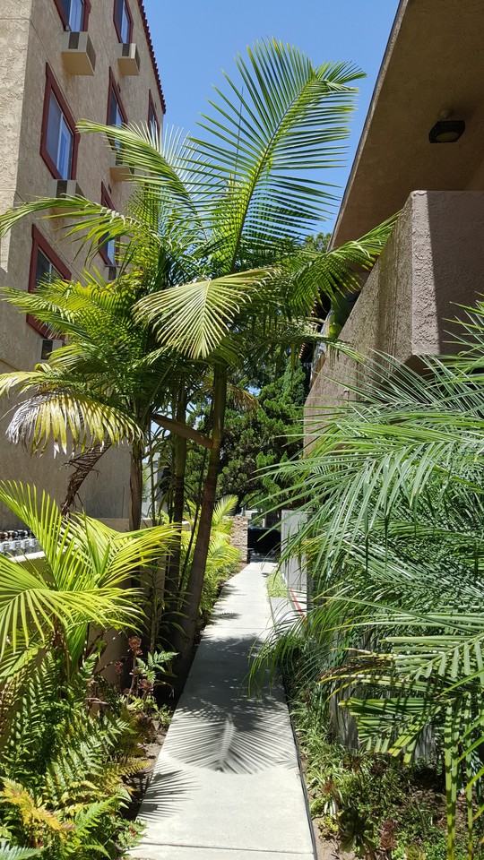 1410 Venice Blvd #7 - Photo 3 of 13