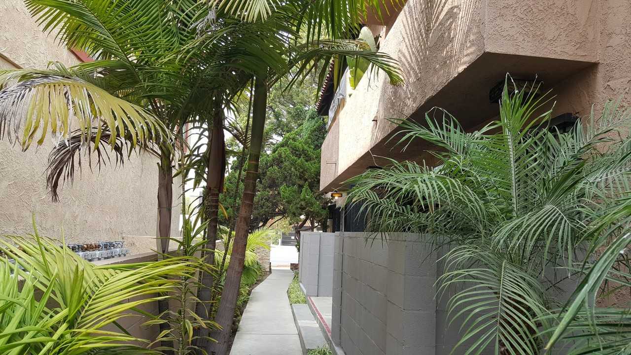 1410 Venice Blvd #7 - Photo 4 of 13