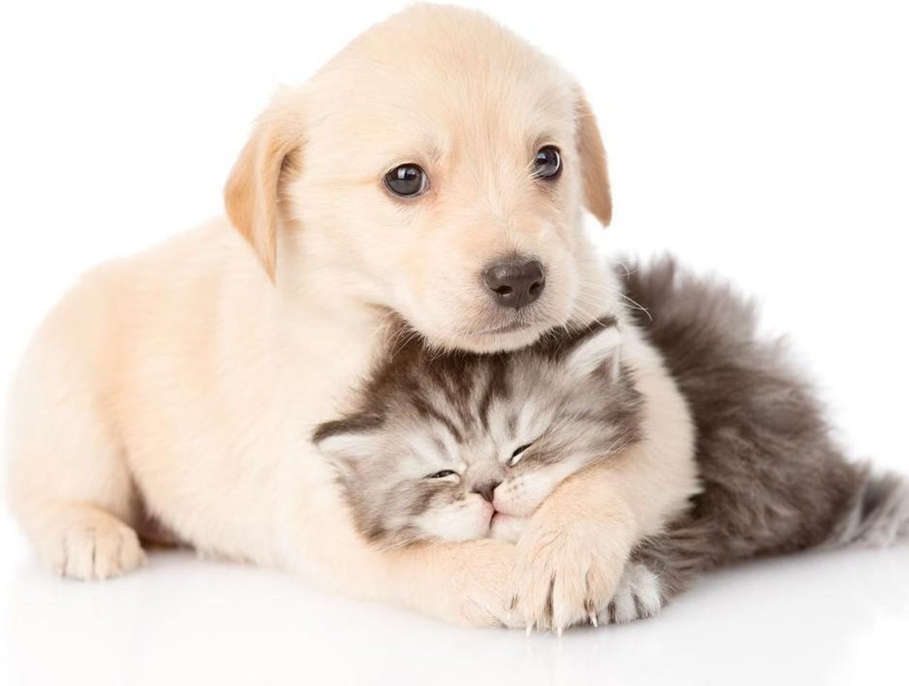 30217 1st Pl S - Photo 7 of 7