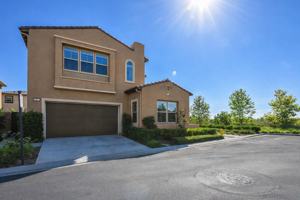 featured image of 95 Turnstone