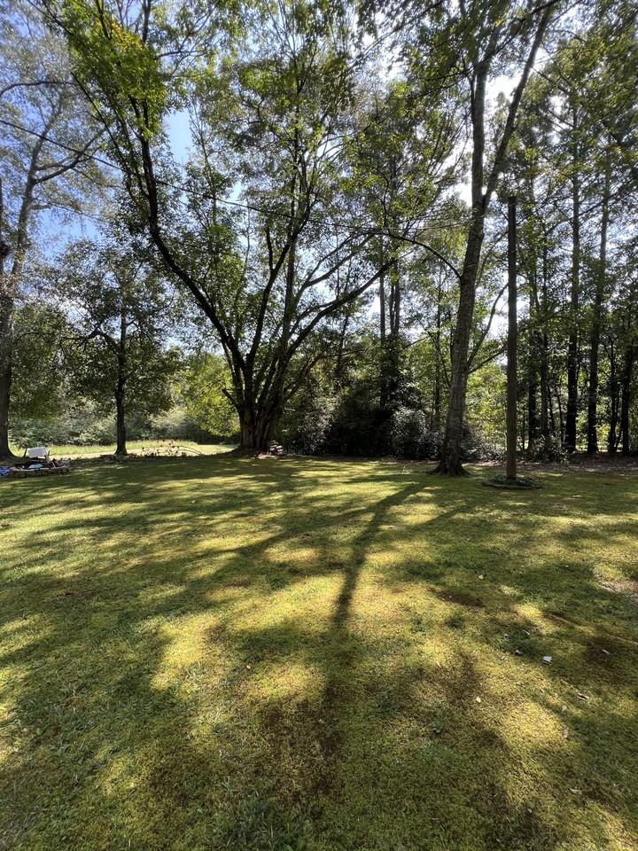 1631 Rays Church Rd #1 - Photo 4 of 10