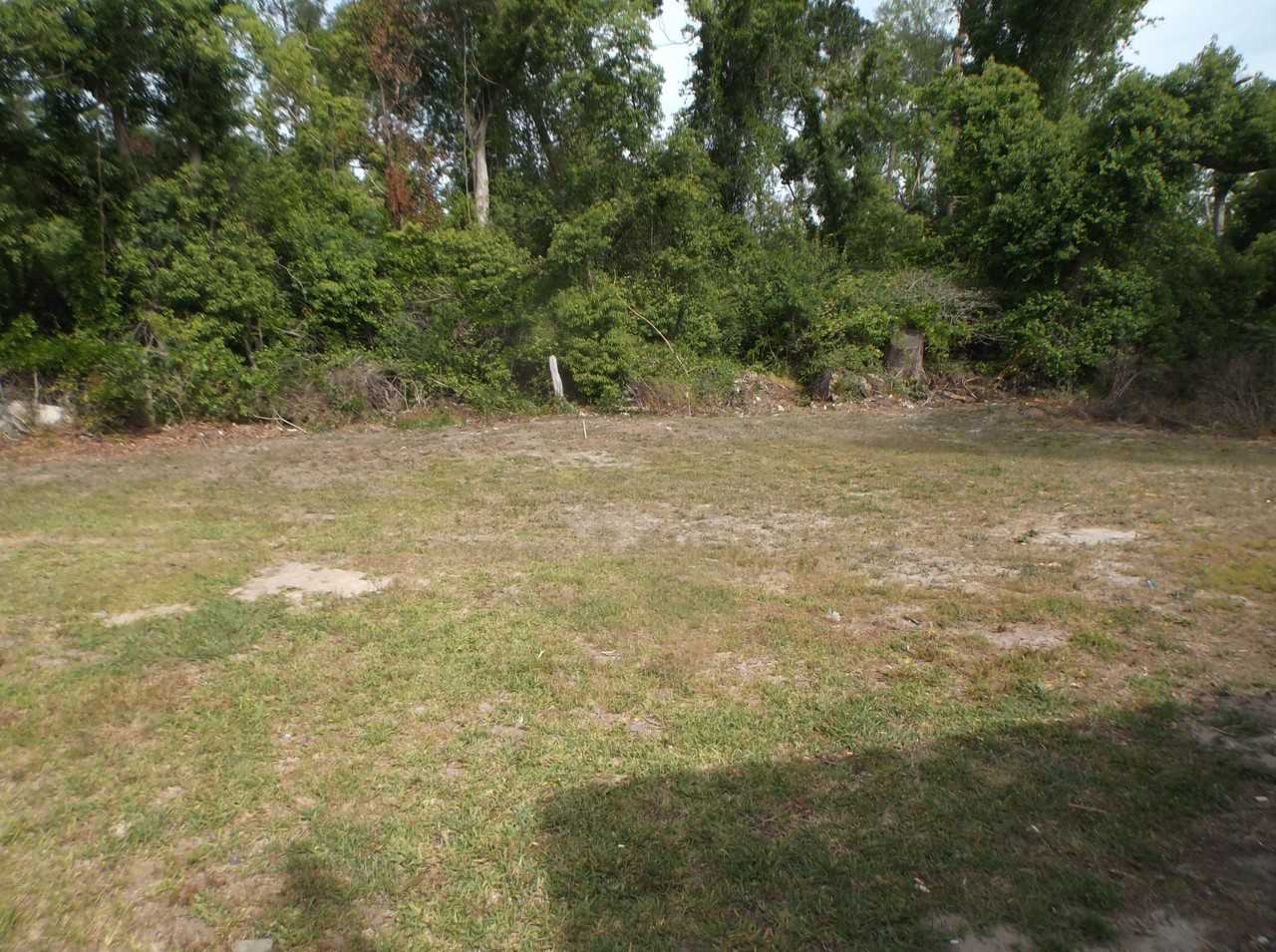 808 Penny Pl #1 - Photo 2 of 15