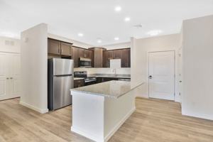 featured image of 280 Salmon Brook St #5313