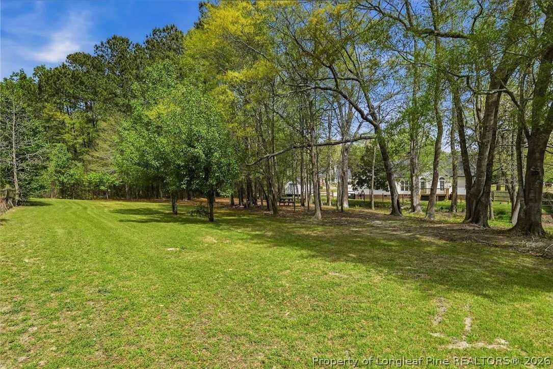 50 Dino Ct - Photo 6 of 39