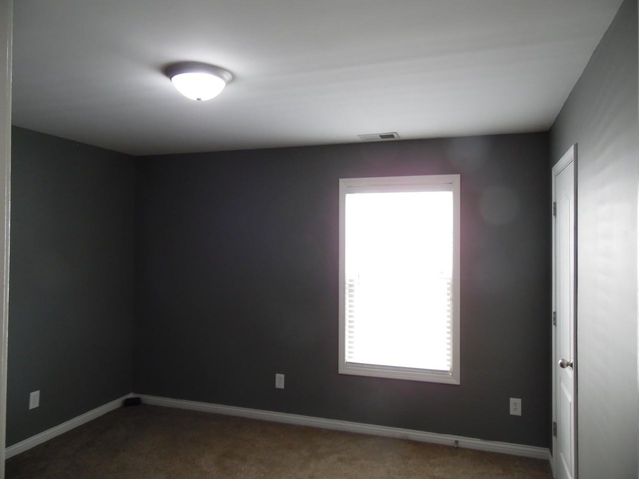 3048 Our Tibbs Trl - Photo 7 of 16