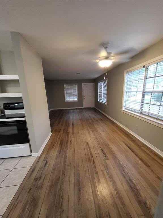 1006 W Lamar St - Photo 7 of 14