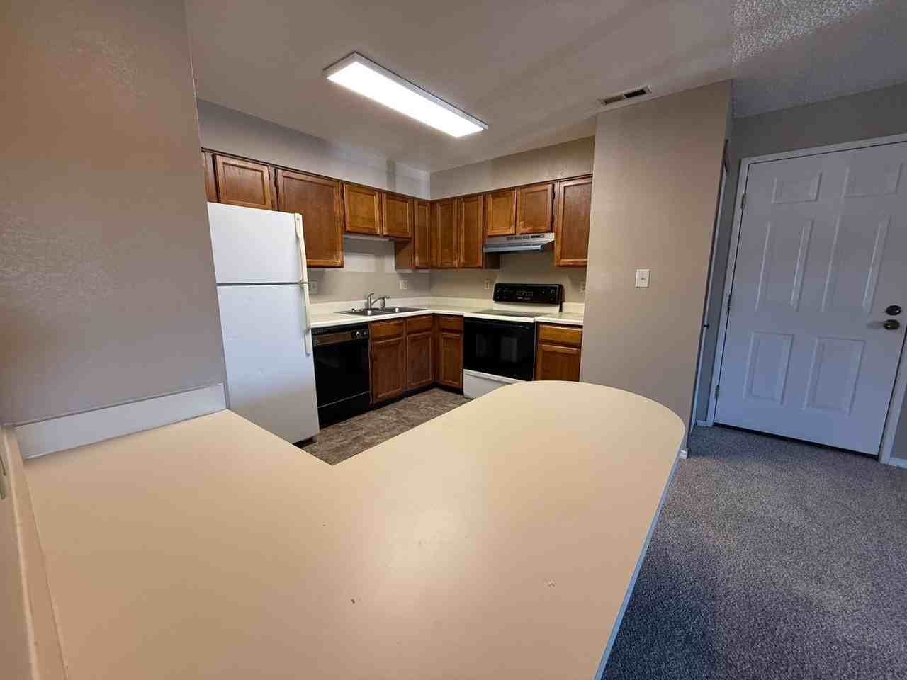 1238 Firefly Cir - Photo 2 of 13