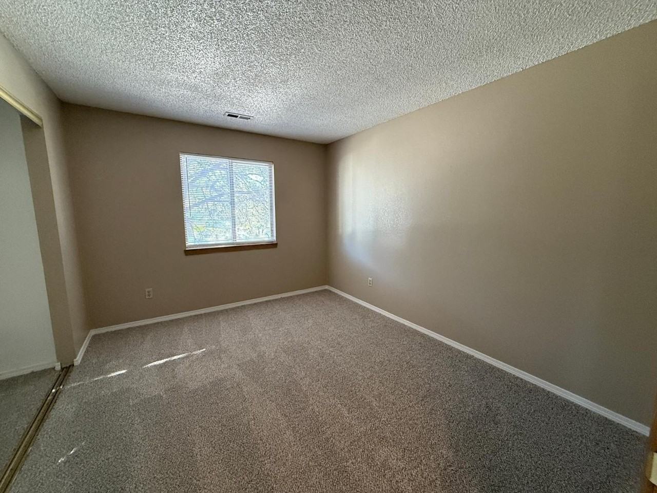 1238 Firefly Cir - Photo 7 of 13
