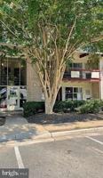 featured image of 4319 Americana Dr #204