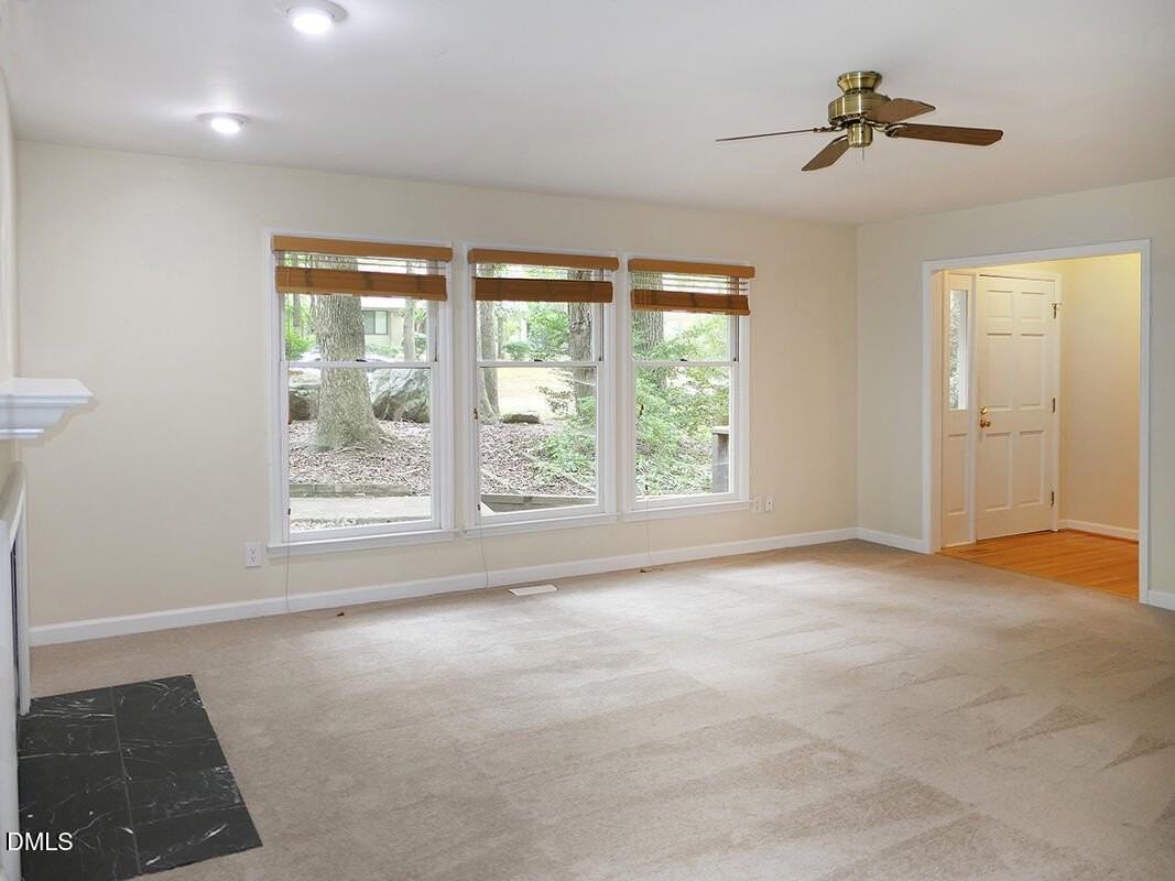 321 Forbush Mountain Dr - Photo 3 of 19