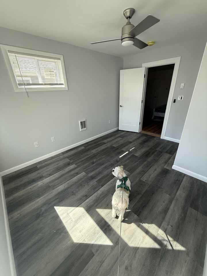 19 Clinton St #B - Photo 7 of 8