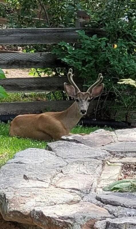 1512 S Yank St - Photo 5 of 5