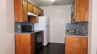 503 Northern Dove Ln - Photo 1 of 1