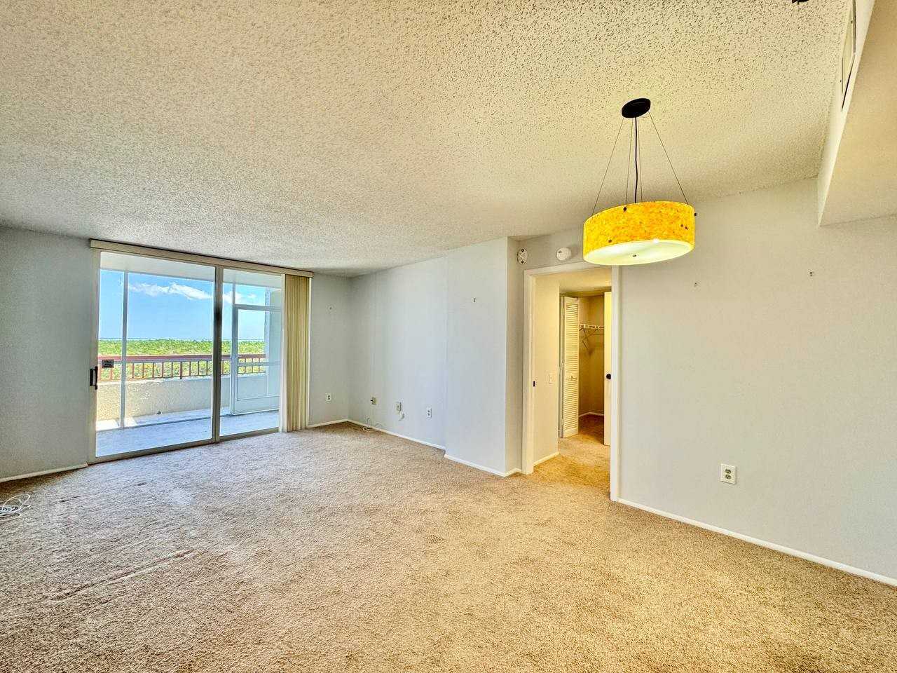 2333 Feather Sound Dr - Photo 6 of 37