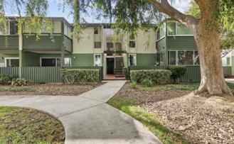 3700 Dean Dr #1008 - Photo 1 of 1