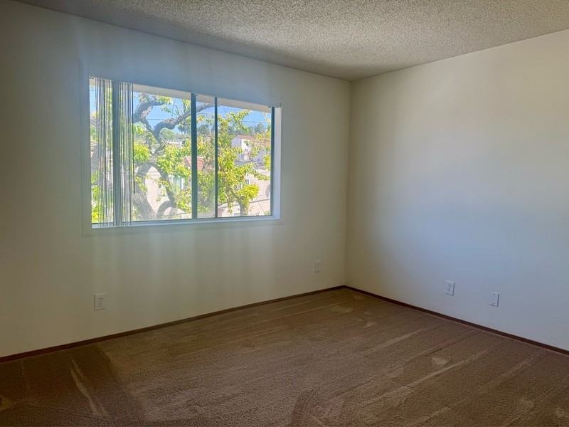 5655 Riley St - Photo 5 of 9