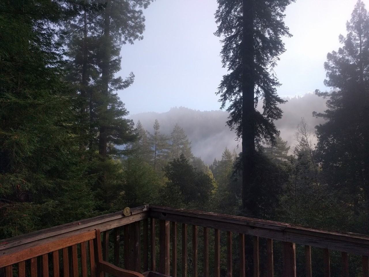 1785 Austin Creek Rd #1515887P - Photo 7 of 43