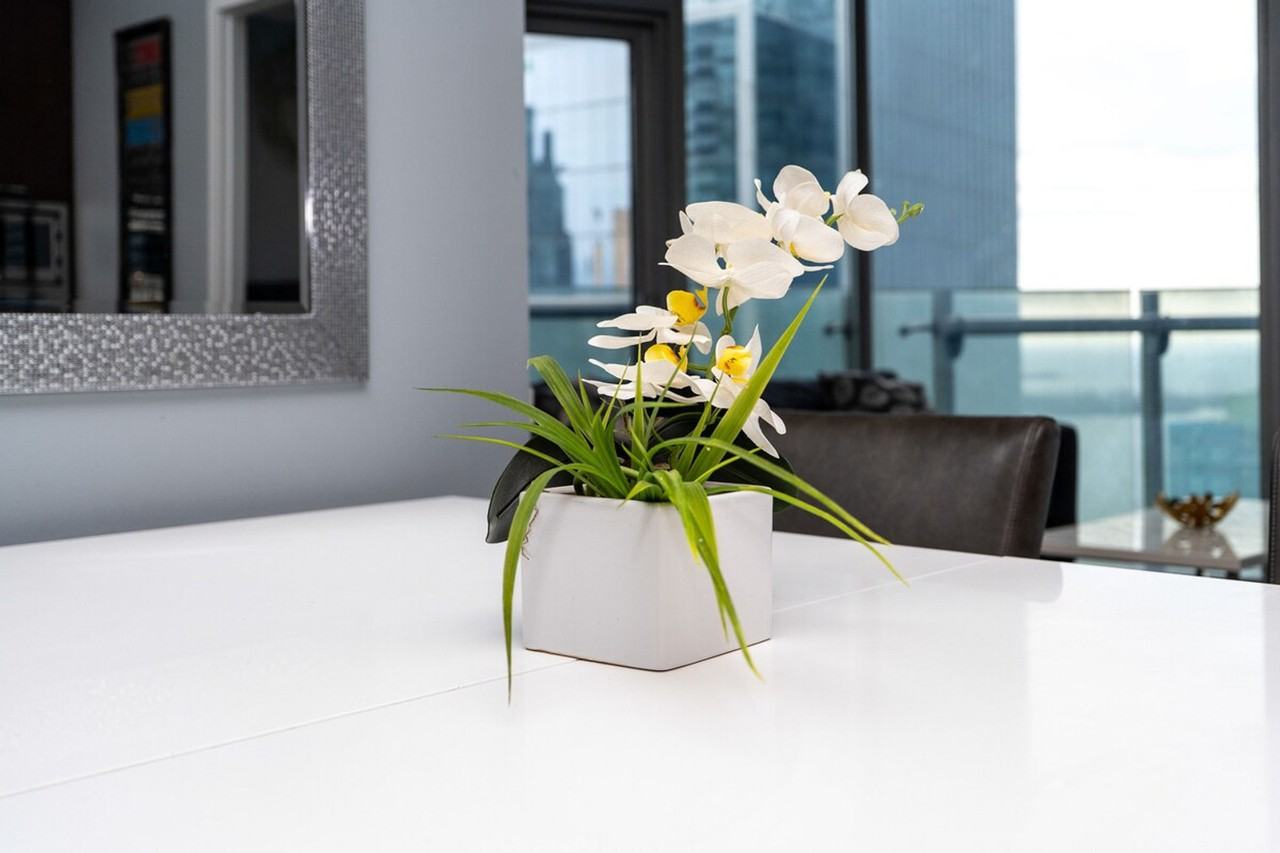 1 York St Null #1519904P - Photo 7 of 50