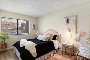 4825 Rue Orleans Court - Photo 1 of 1