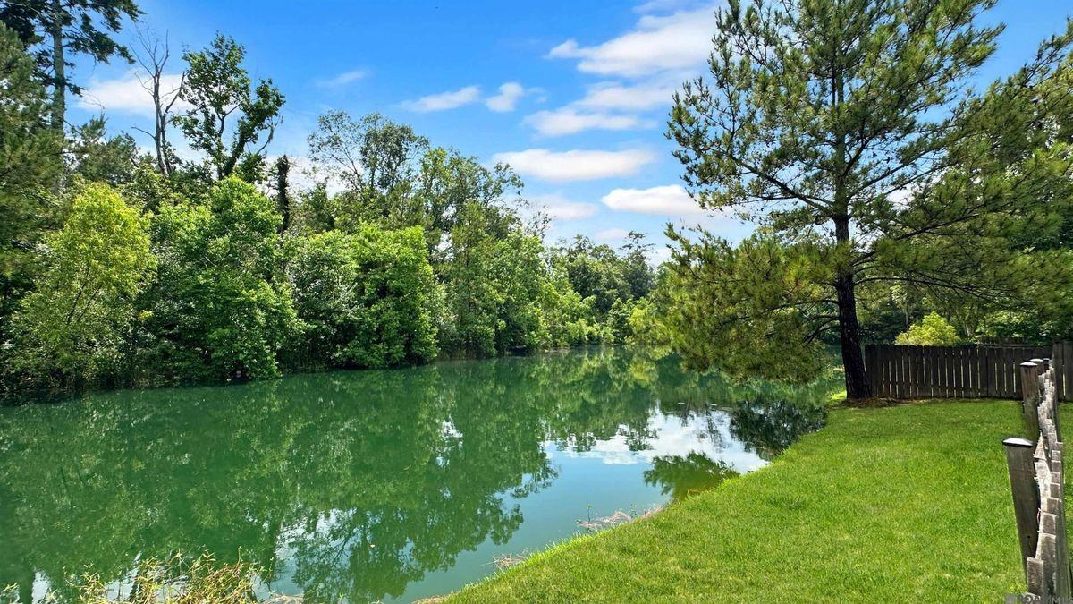 10816 Field Pointe Dr - Photo 2 of 22