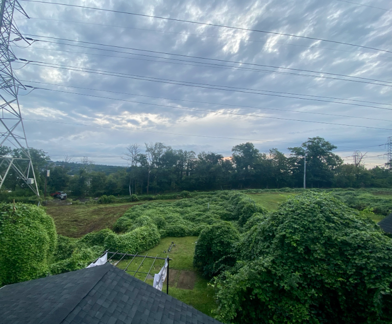 28 Kenilworth Rd - Photo 6 of 28