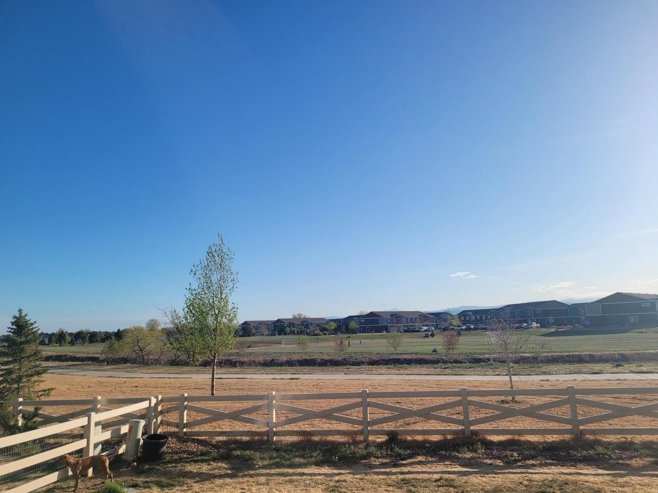 7377 Horsechestnut St - Photo 2 of 2