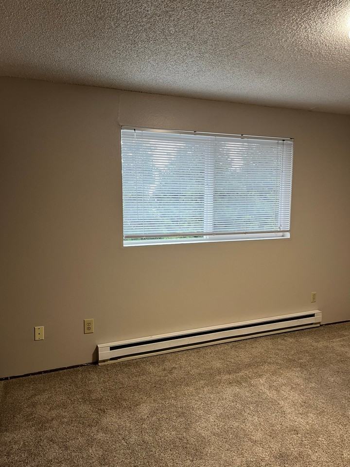 328 91st Ave Ne #2 - Photo 4 of 15