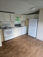 featured image of Daisy Ln #10