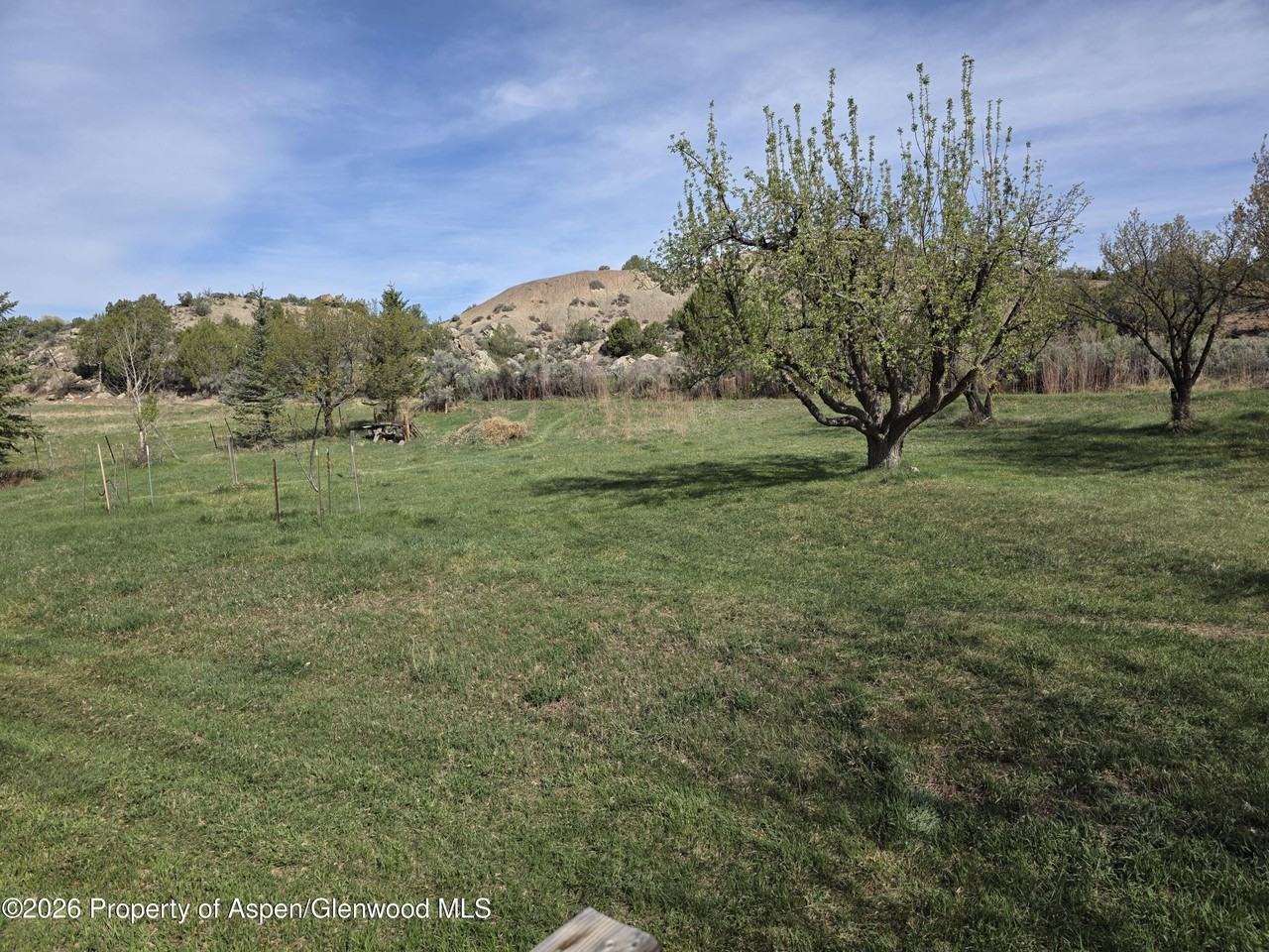 3465 County Road 214 - Photo 2 of 8