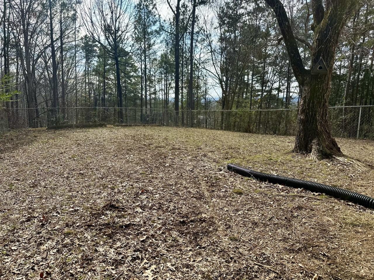 2258 Morris Hill Rd - Photo 4 of 25