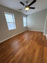 Washington Pine - Photo 1 of 1