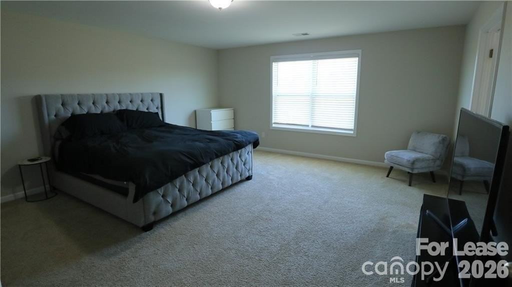 1437 Bramblewood Dr - Photo 7 of 13