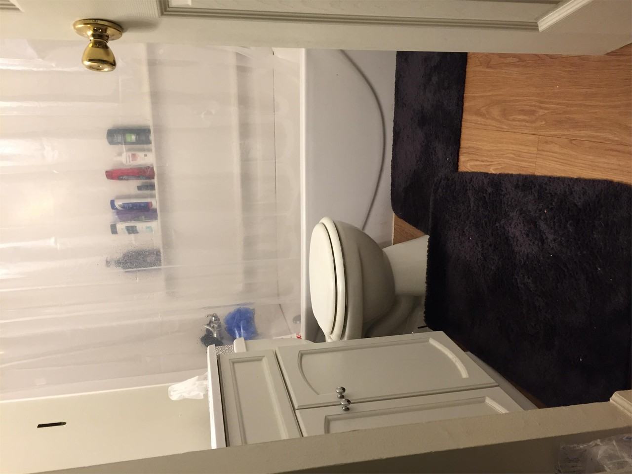 507 S. Lincoln - 5 #05 - Photo 3 of 7