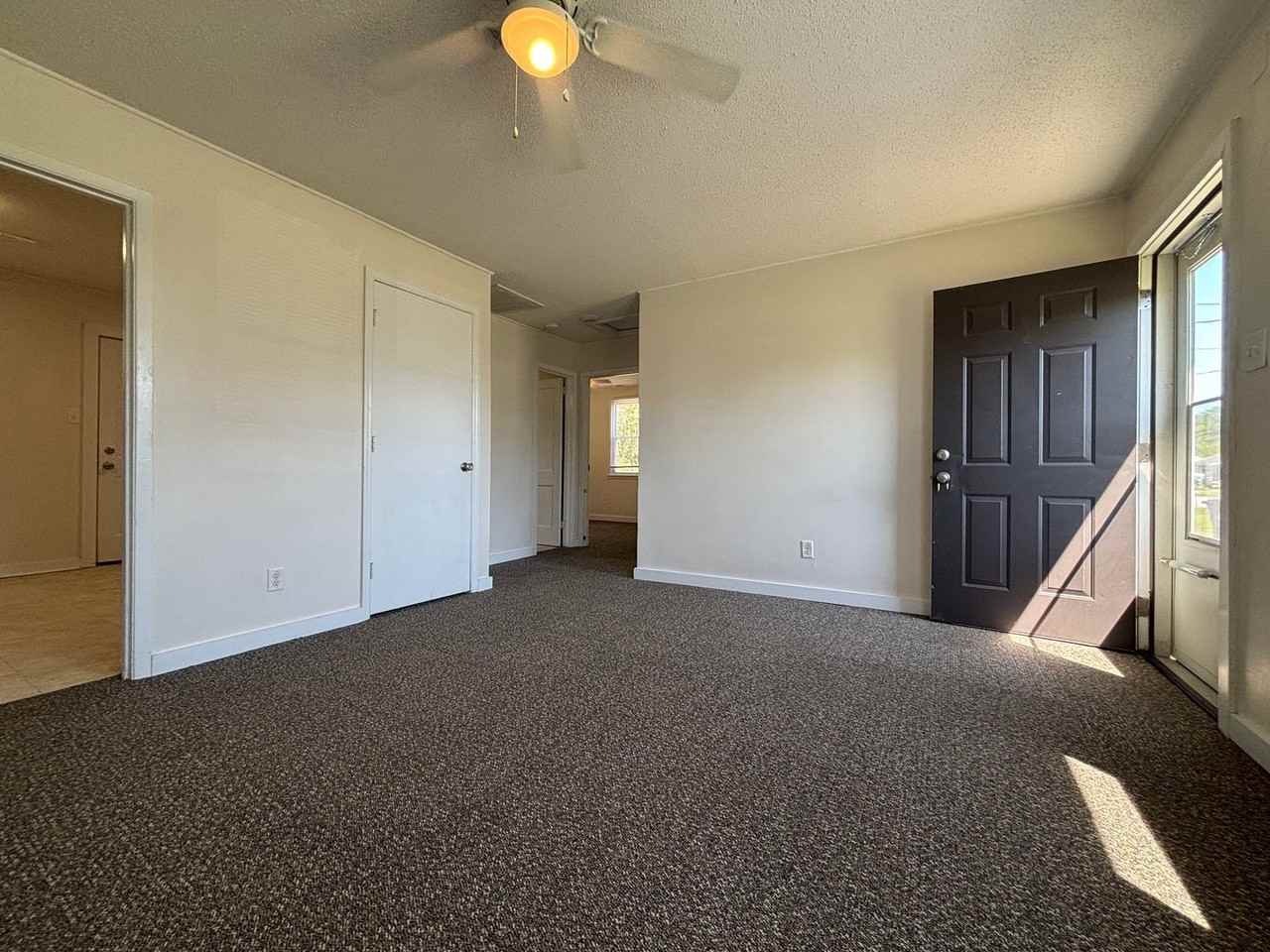 1207 Davis St - Photo 3 of 10