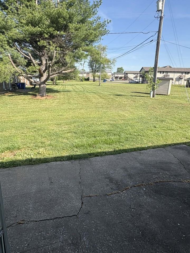 1617 Mcintosh St #C - Photo 7 of 23