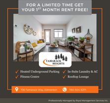 Tamarack Heights Apartments - Photo 1 of 1