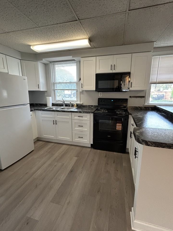 518 Bridge Street - Photo 4 of 13