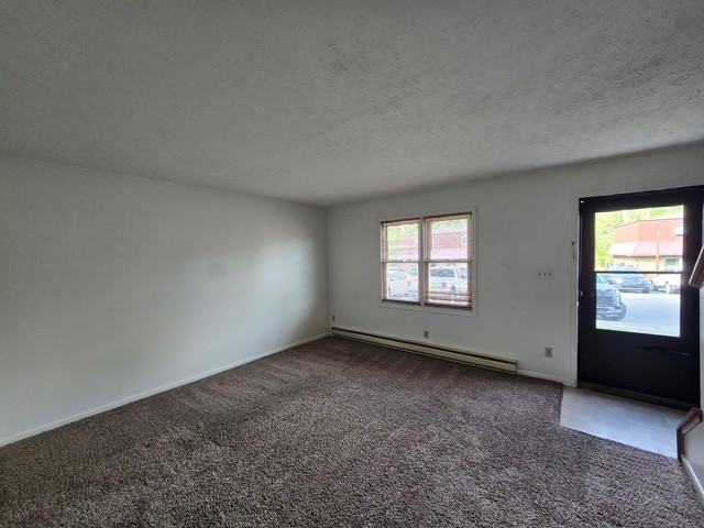 321 West Water Street - Photo 3 of 33