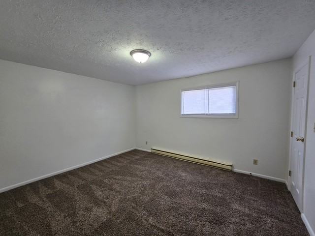 321 West Water Street - Photo 6 of 33