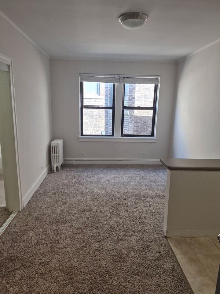 5210-14 S. Woodlawn - Photo 2 of 11