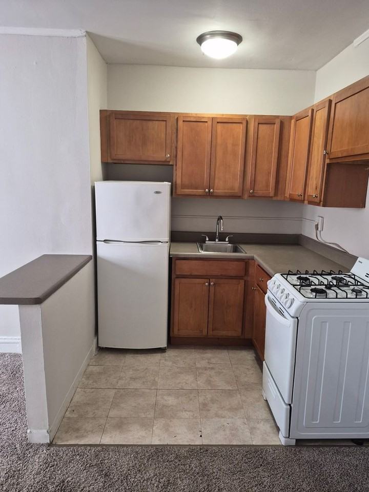 5210-14 S. Woodlawn - Photo 4 of 11