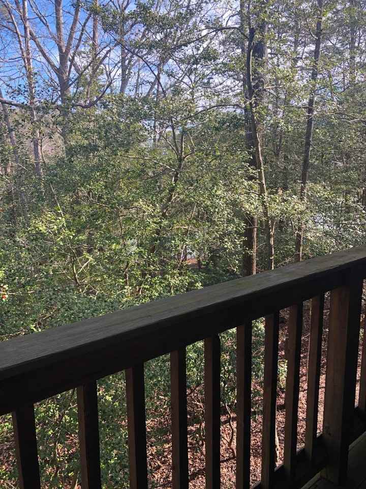 1224 Back Creek Loop - Photo 2 of 8