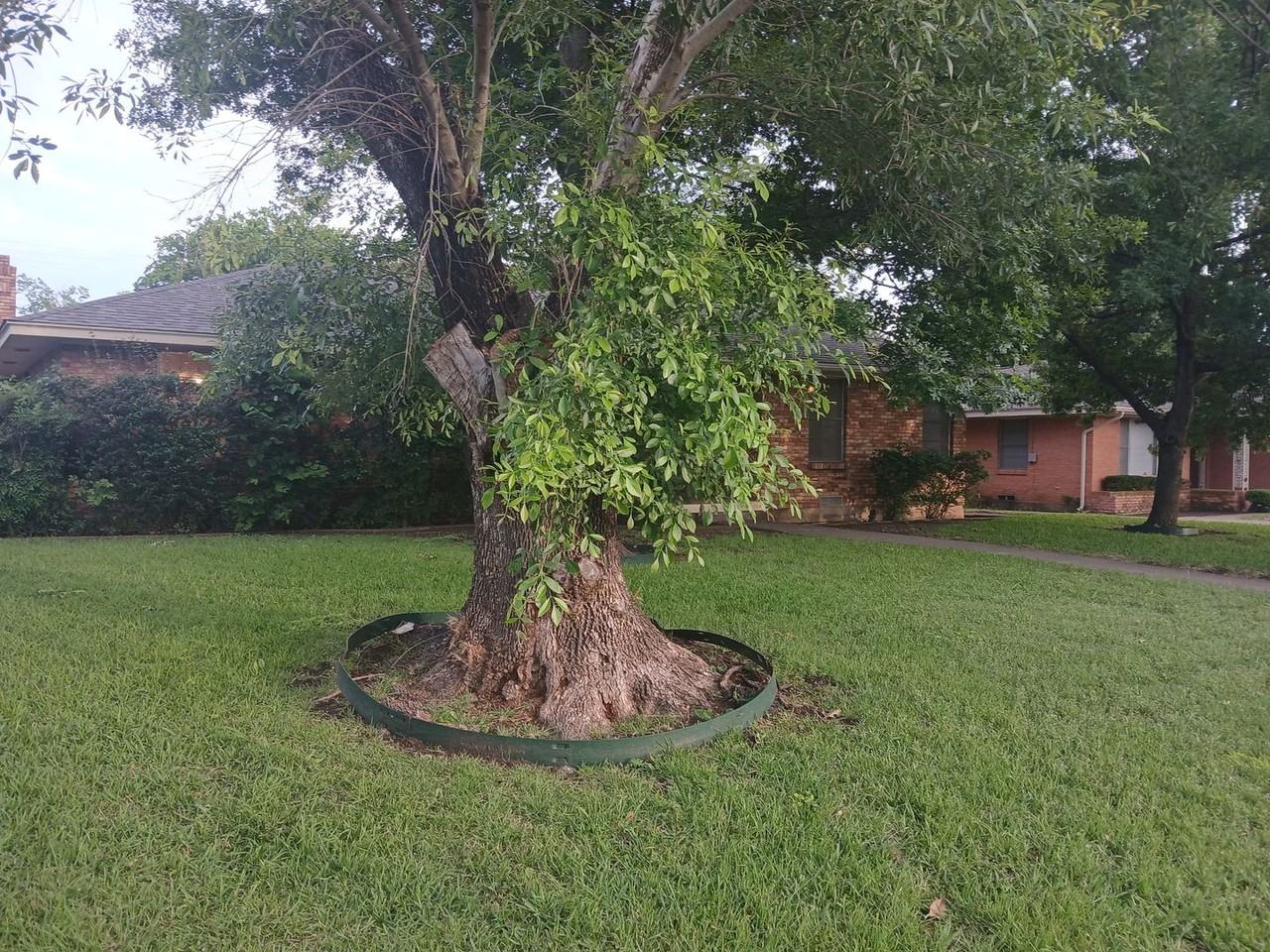 4918 Rockport Dr - Photo 3 of 29