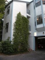 303 W 35th St - Photo 1 of 1