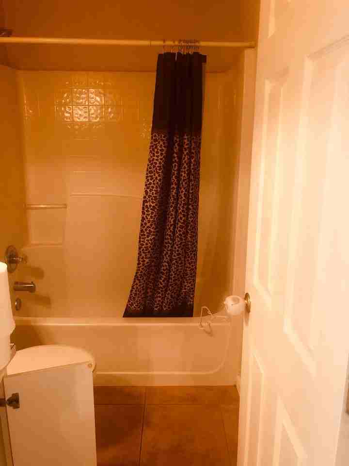 614 Camel Ln - Photo 6 of 14