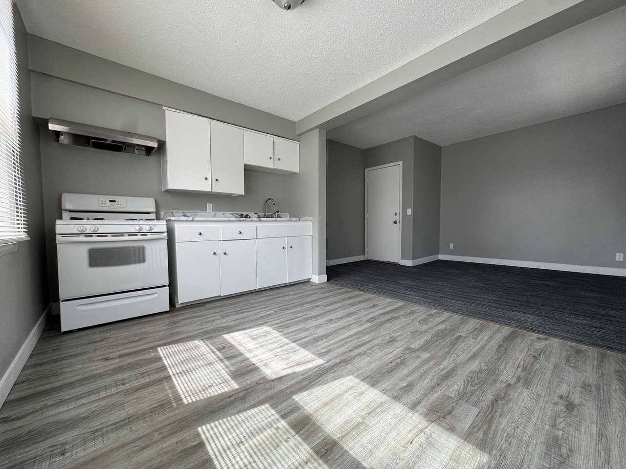 1727 Reaney Ave - Photo 2 of 7